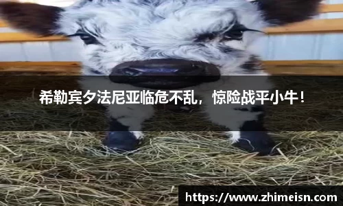 威廉希尔williamhill官方网站